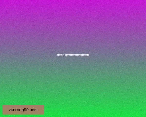 忍者之刃PC游戏评测与技巧攻略探索全面提升游戏体验